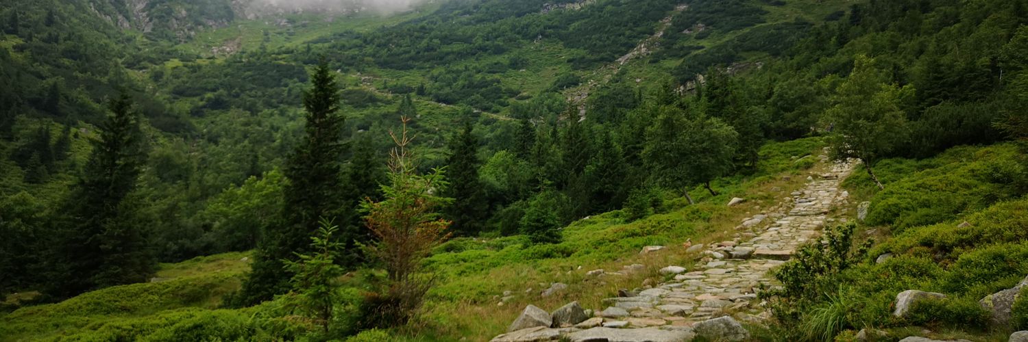 bojarck's profile banner image