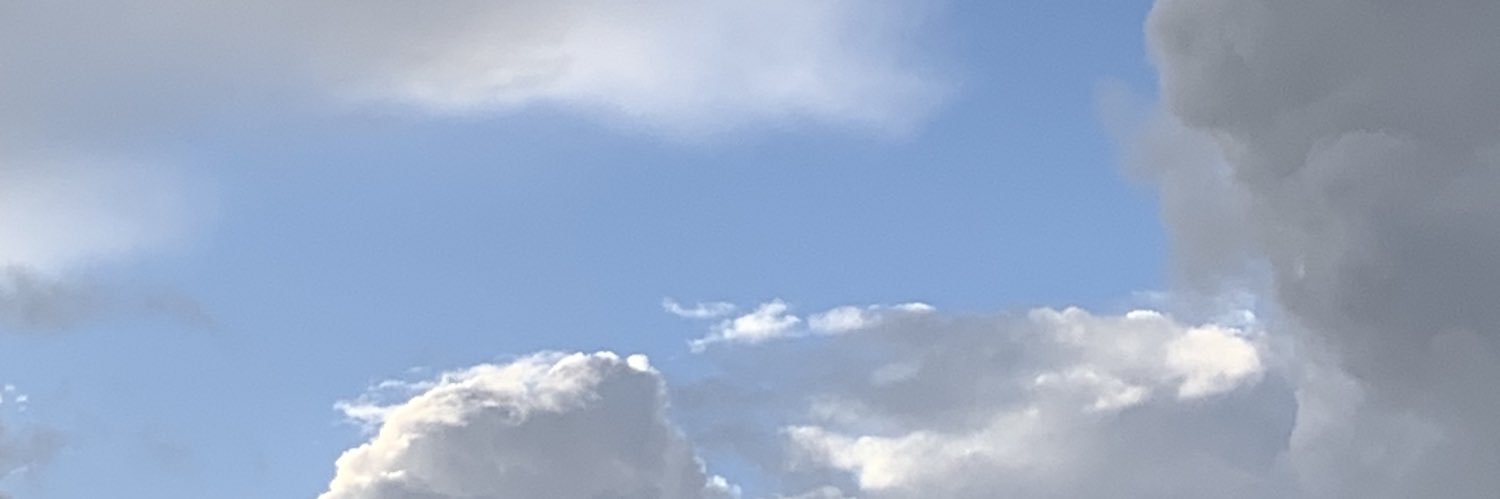evuskigc's profile banner image