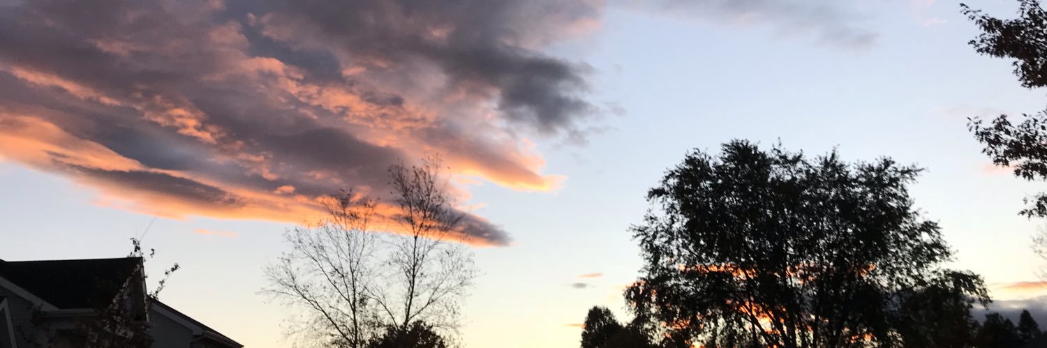 TamaMaple's profile banner image