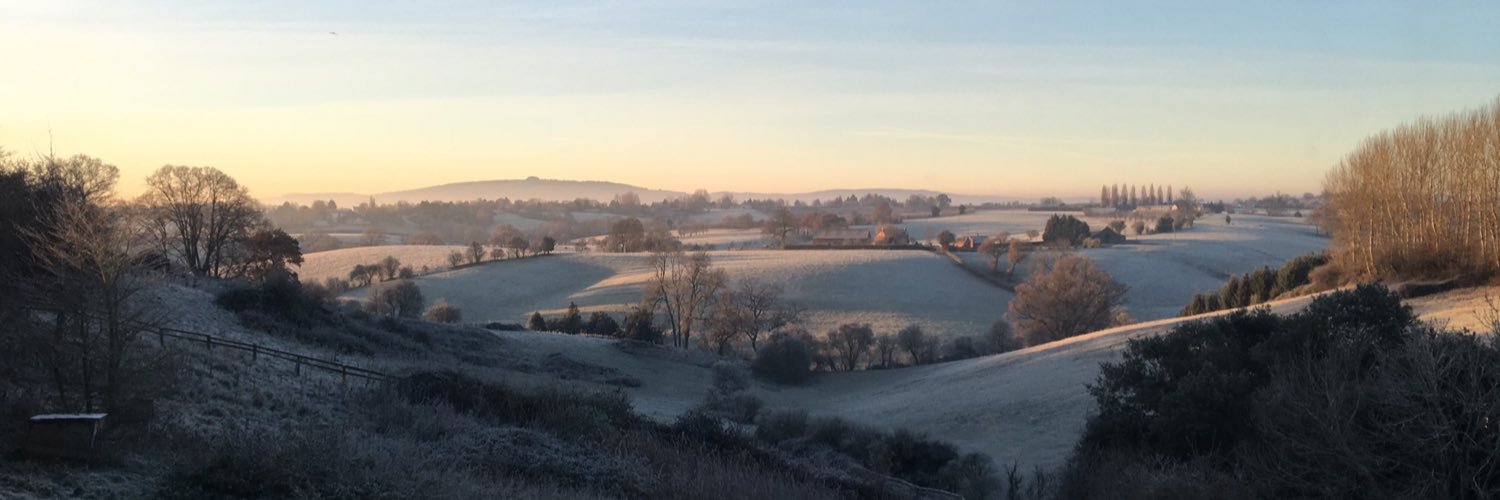 Authentic Bread Co. banner