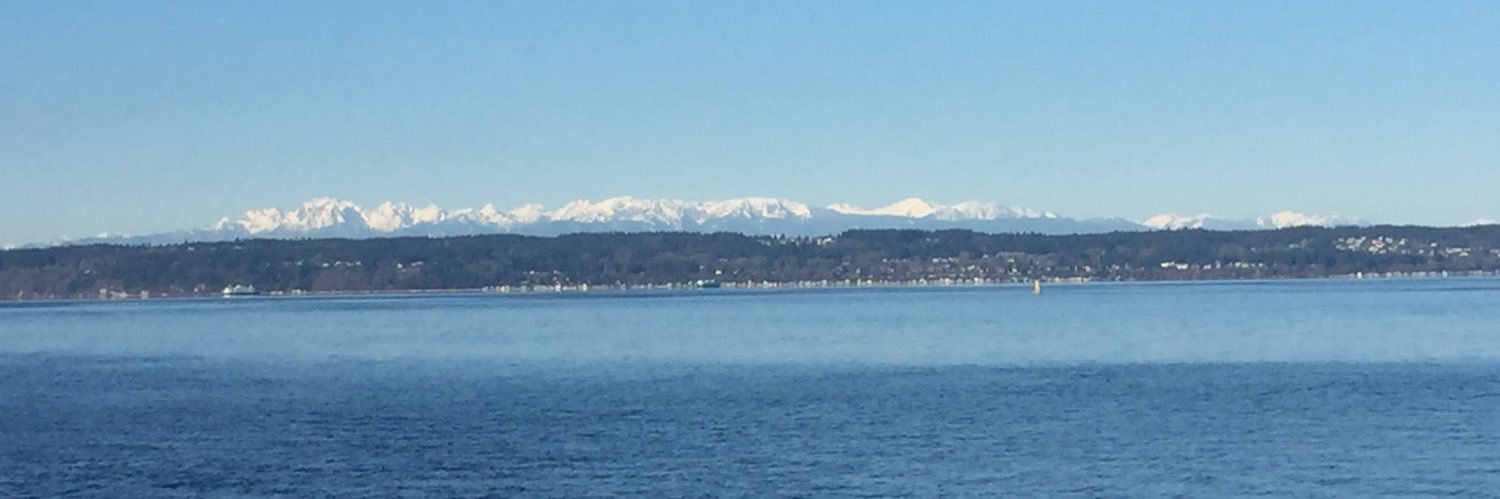 SeiversC's profile banner image