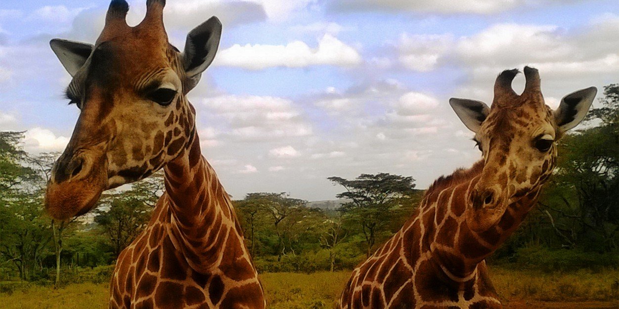 lahogan4's profile banner image