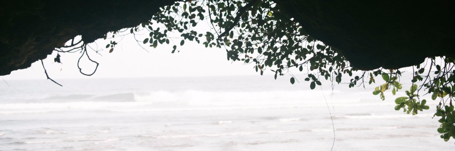 _farahandani's profile banner image