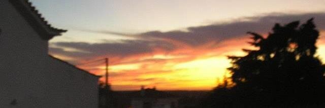 leonorcunha2's profile banner image