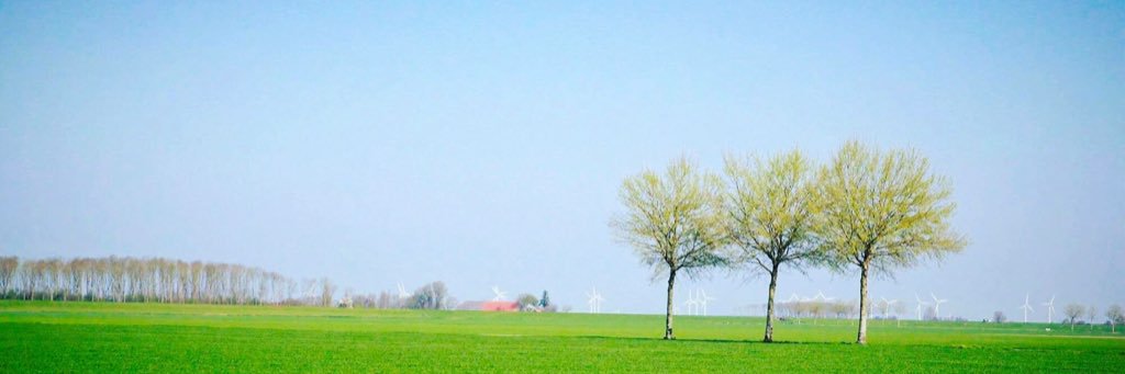 BernaRoessen's profile banner image