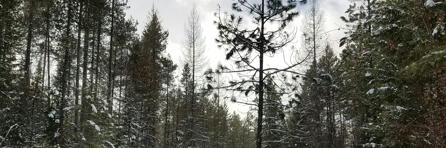 HaileyCaprara's profile banner image