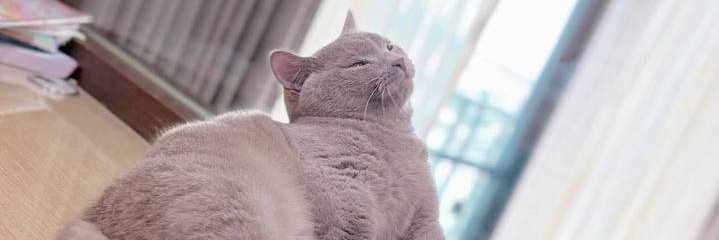 tutsak53's profile banner image