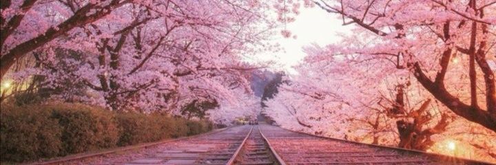 Mperatrice__'s profile banner image