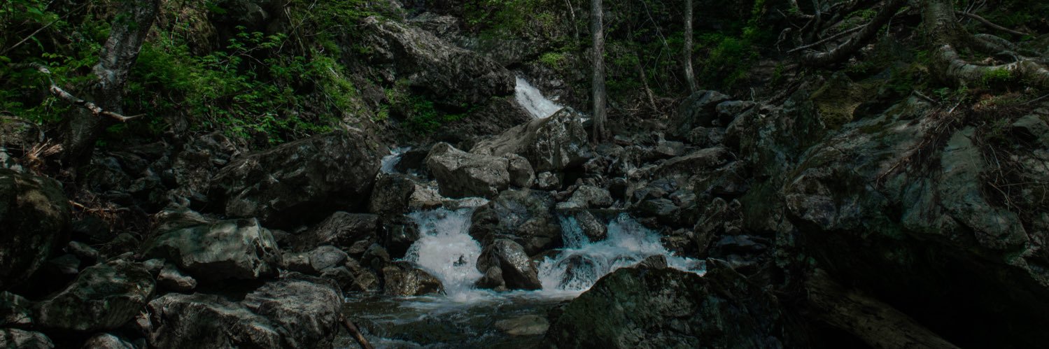 nolanjewells's profile banner image