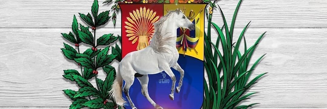 aixavalles's profile banner image