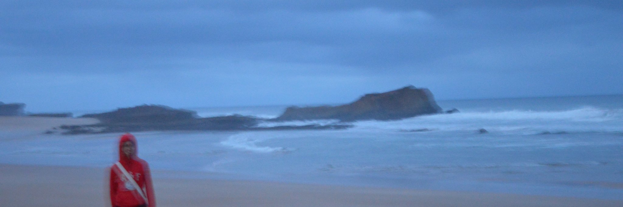 Ilaria Betella banner