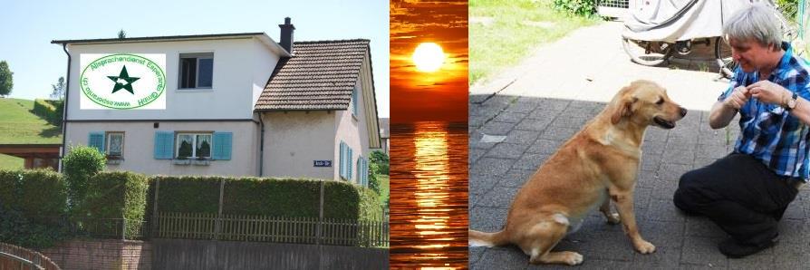 Esperanto D.Weidmann banner