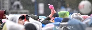 tracy 🍉 banner