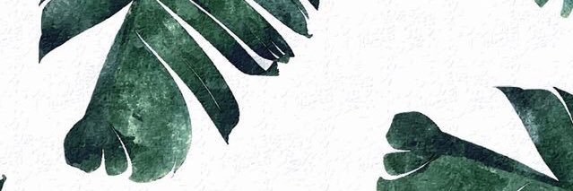 bstep_1's profile banner image
