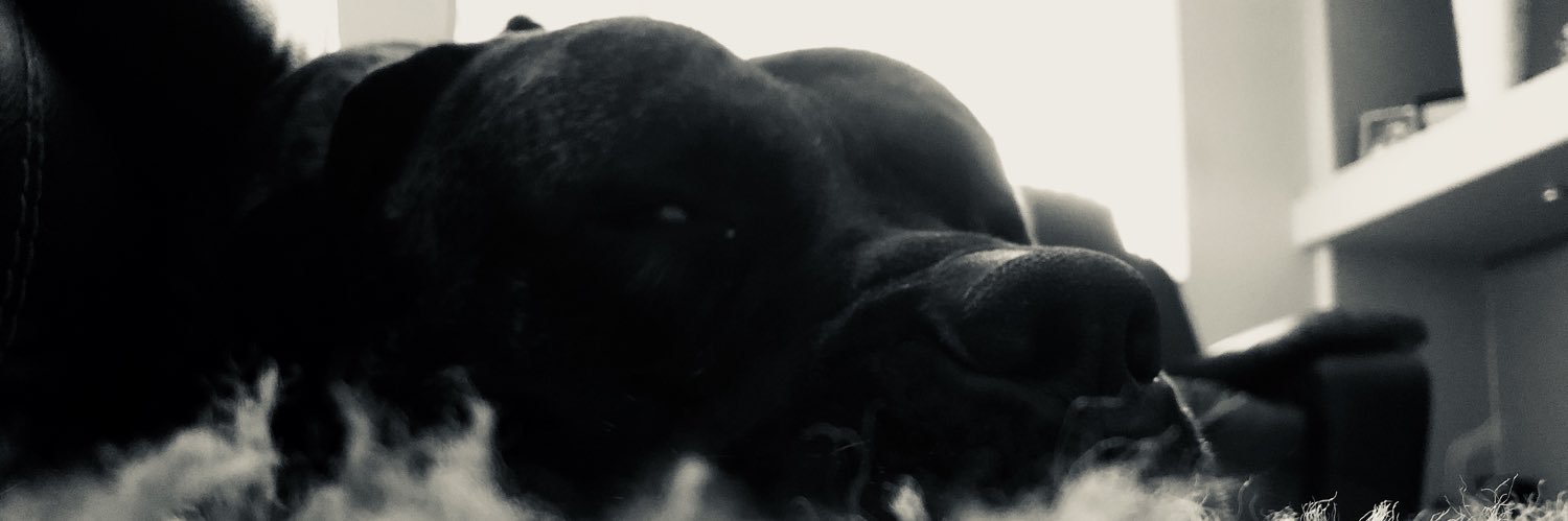 Zmack80's profile banner image