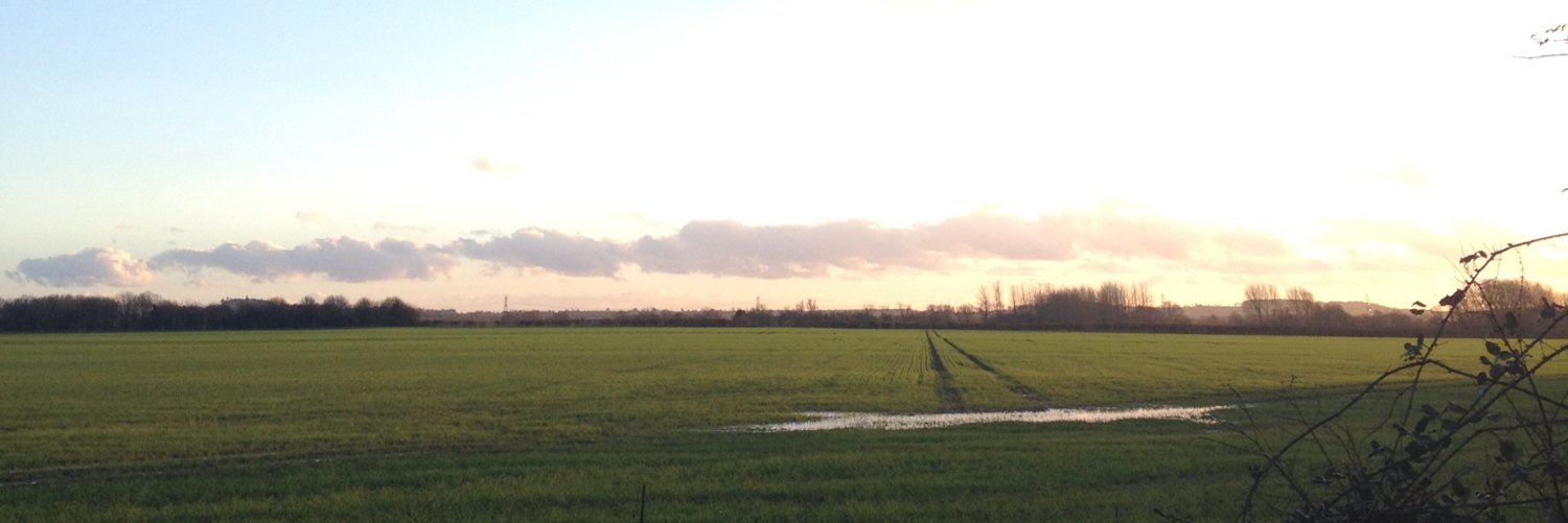 abgaertner's profile banner image
