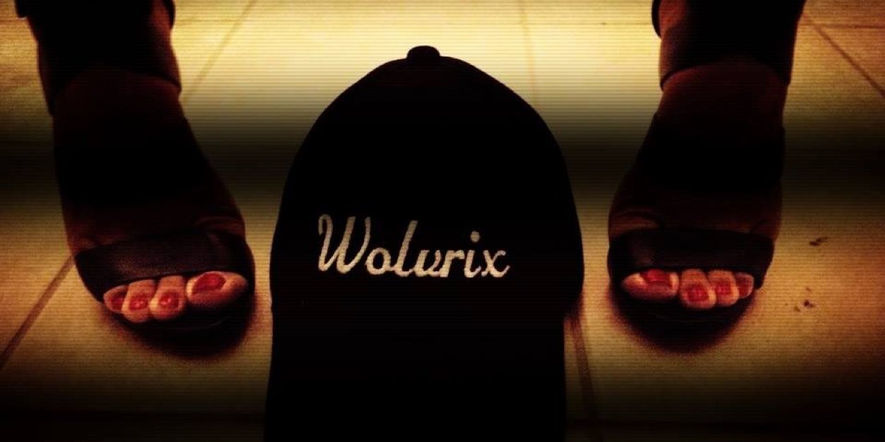 wolvrixmusic's profile banner image