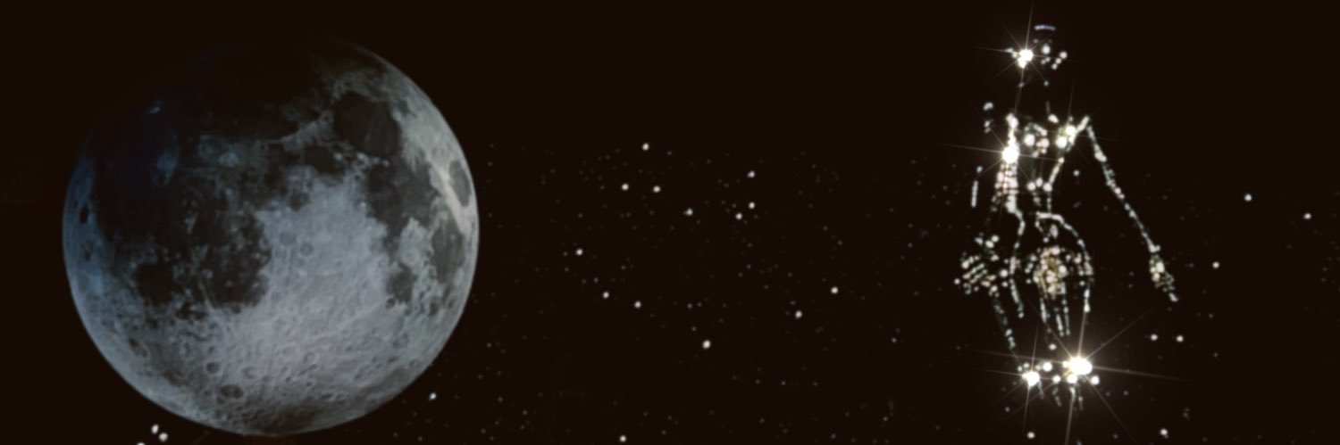 NatCapi's profile banner image