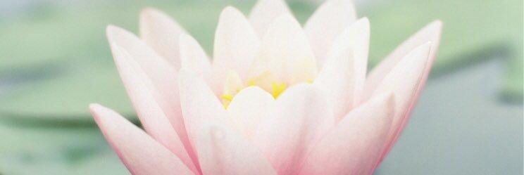 Sass012's profile banner image