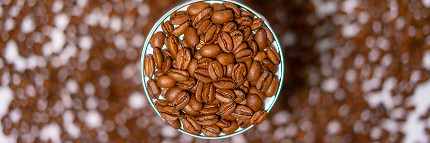 Momoto Café banner