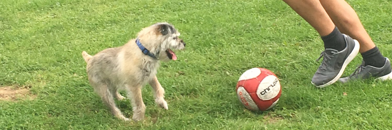 Scott Jenkinson banner