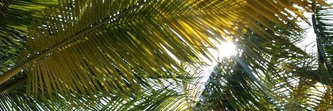 luciacanutogarc's profile banner image