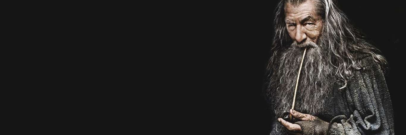 PereirinhaBambu's profile banner image