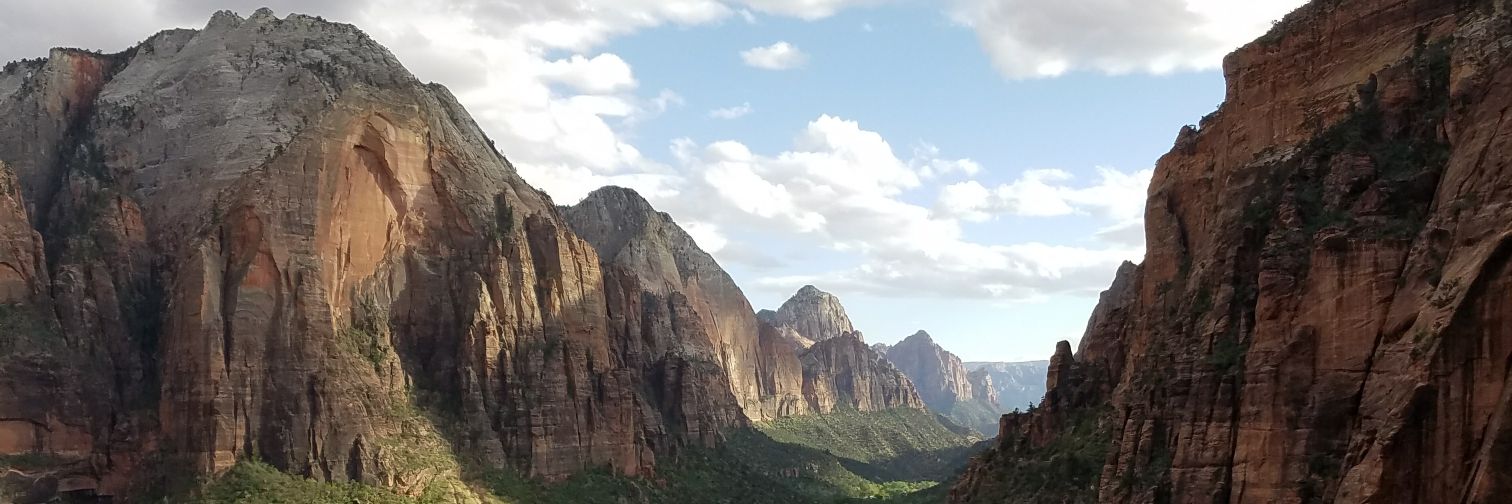 amfhealy's profile banner image