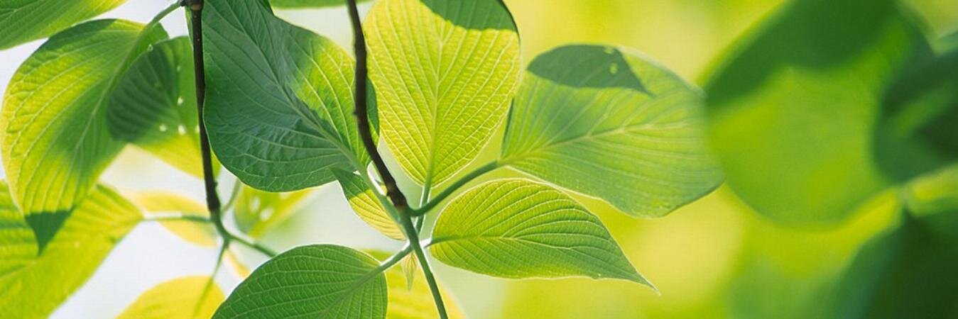 deepan_ndk's profile banner image
