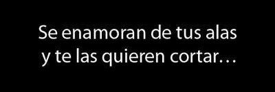 Momis banner