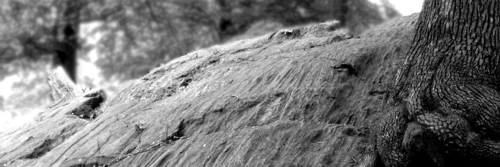 richardscheiwe's profile banner image