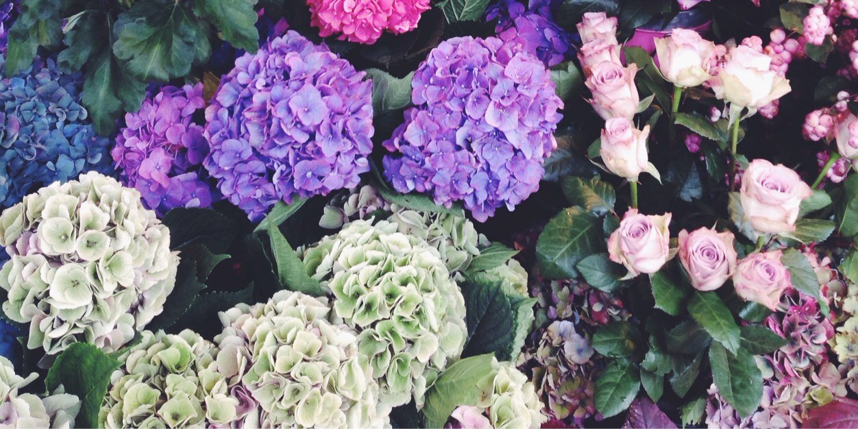 Elizabethtesser's profile banner image