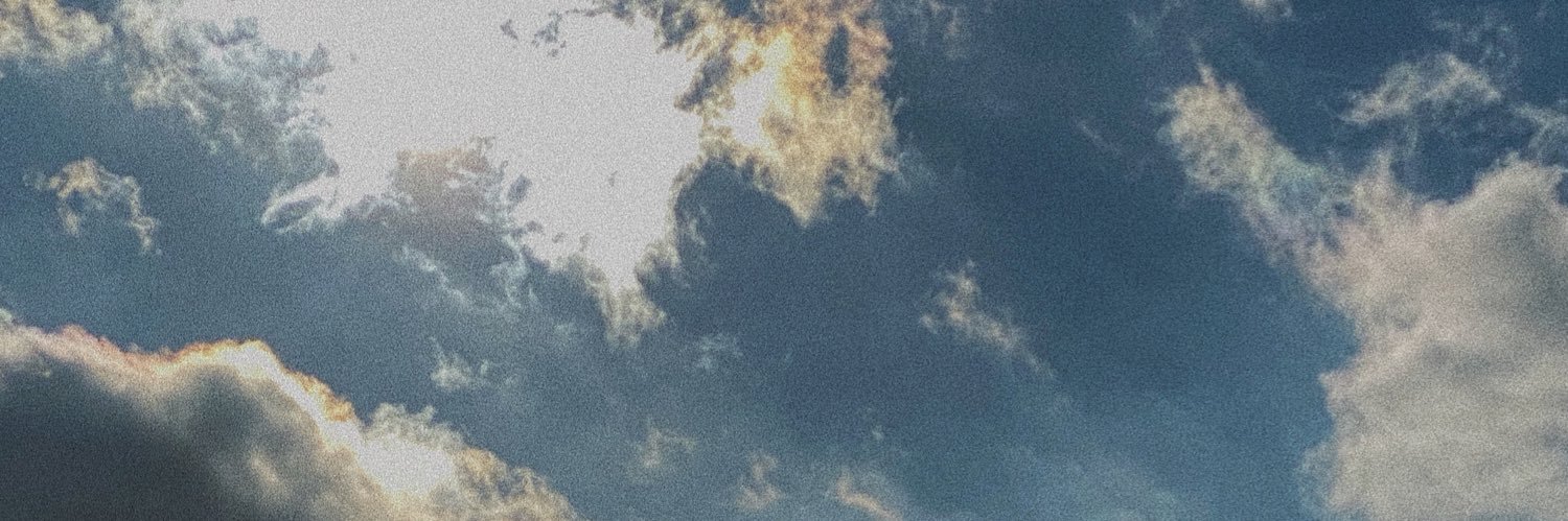 sandycorona1's profile banner image