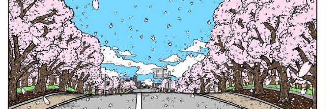 nekosocks's profile banner image