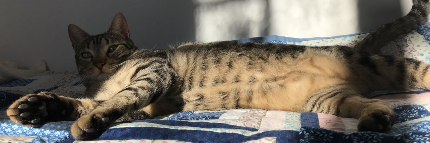 Annaayeah's profile banner image