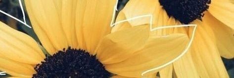 TanniMrls's profile banner image