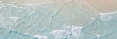 franciscamelia's profile banner image