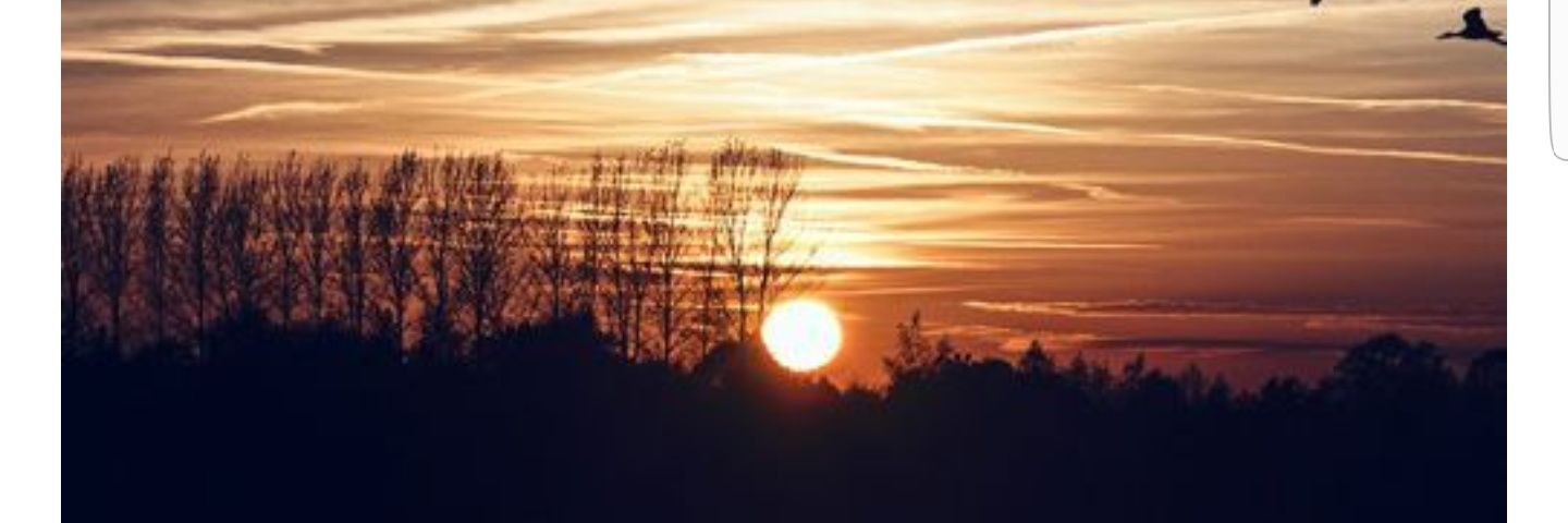 gisesol79's profile banner image