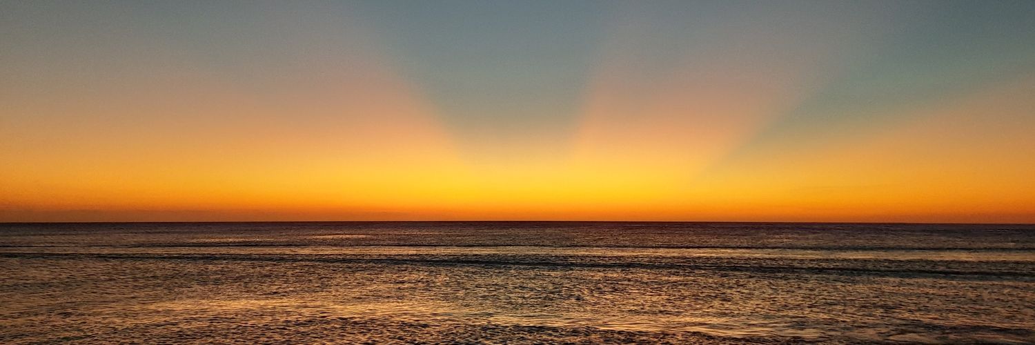 lvallecillohn's profile banner image