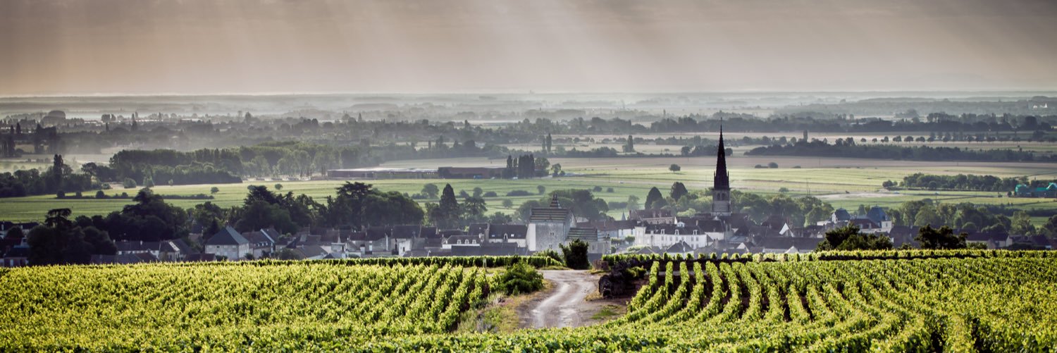 florephotograph's profile banner image