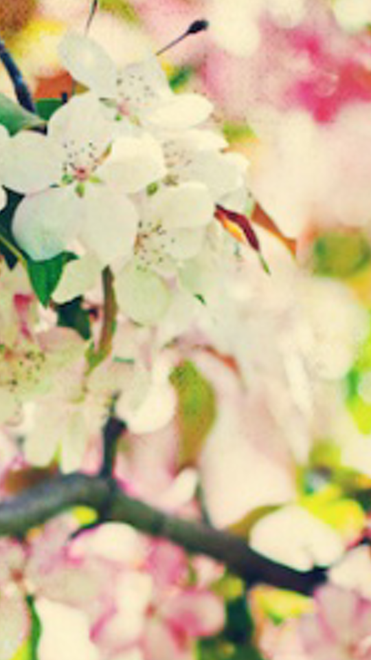 Fer_Osorio04's profile banner image
