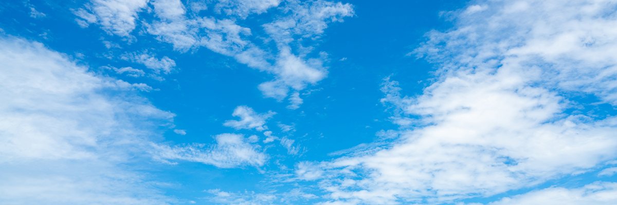 Ryan Nam banner
