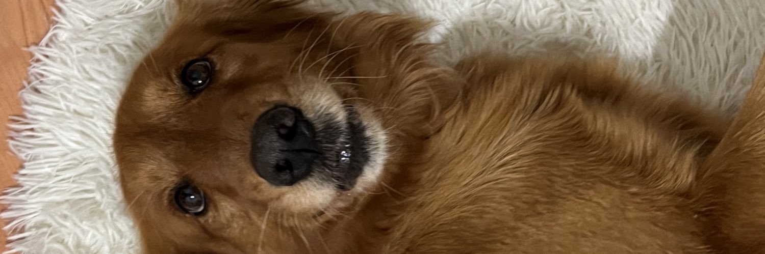 emaslz's profile banner image