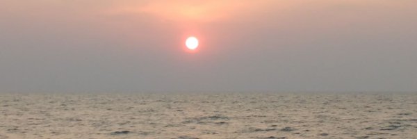 eeshasays Profile Banner