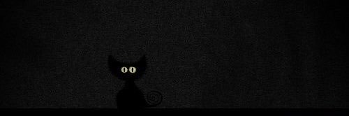 fiorezu's profile banner image