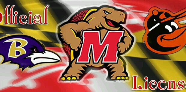 OhioTerp's profile banner image