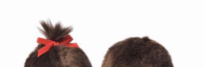 ningnongerk's profile banner image