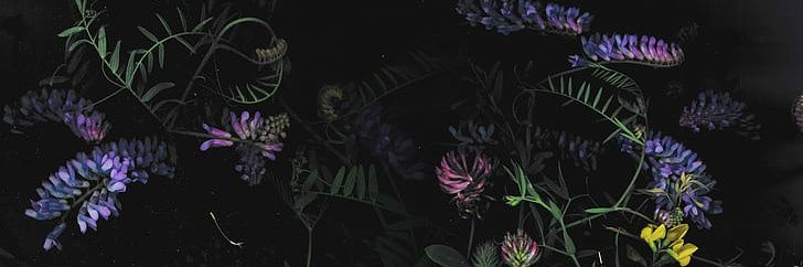 19E10do's profile banner image