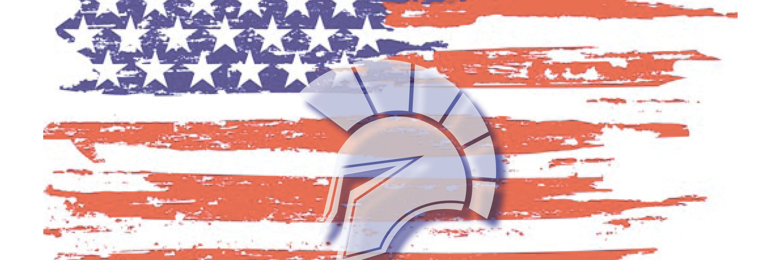 Next Level Spartans banner