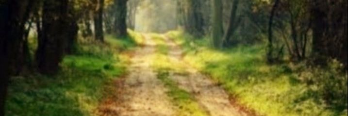 ESPIRITU0's profile banner image